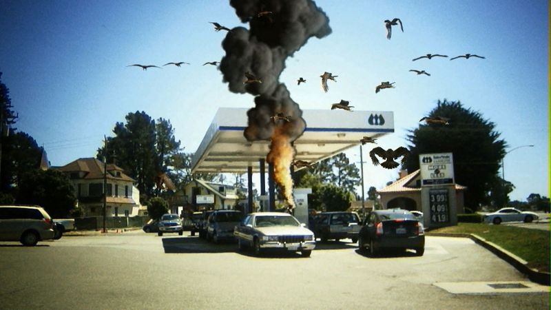 Birdemic: Shock and Terror Backdrop Image