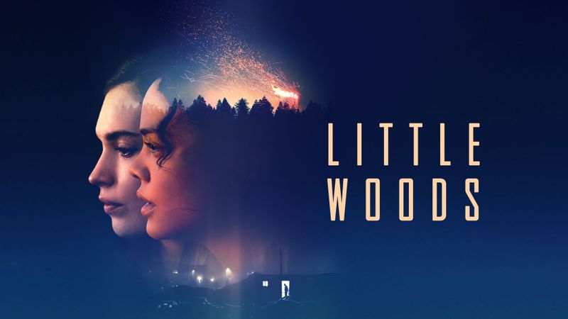 Little Woods Poster Landscape Image