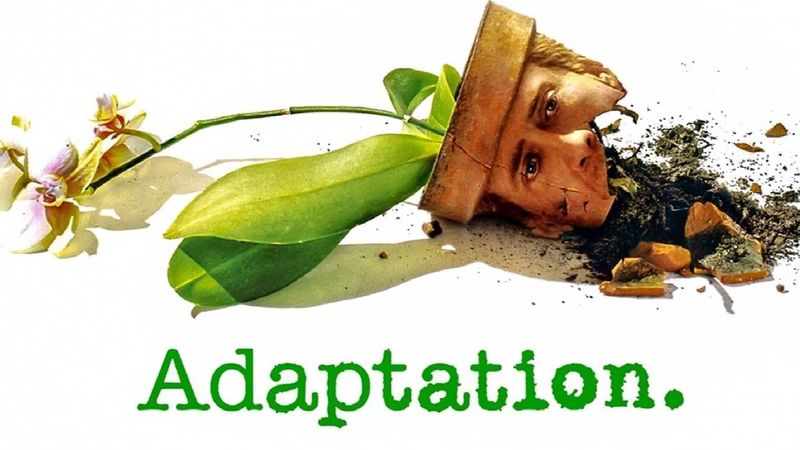 Adaptation Poster Landscape Image