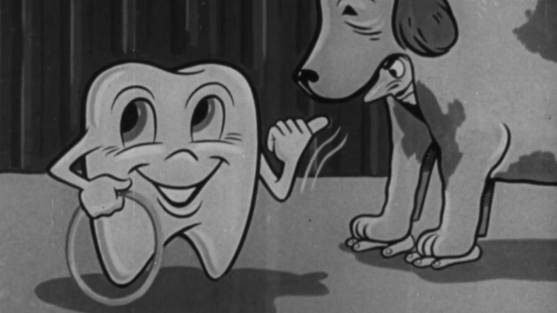 The Movie Orgy Backdrop Image