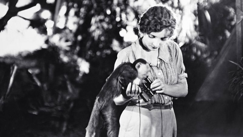 Kino-Konzert: The Lost World Backdrop Image