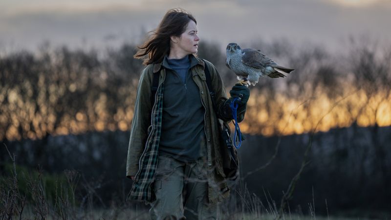 H Is for Hawk Backdrop Image