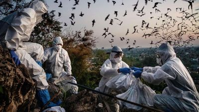 Blame Poster Landscape Image