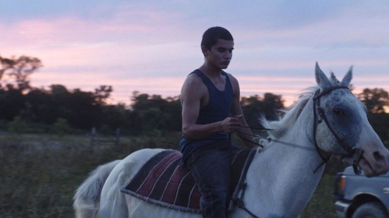 Songs My Brothers Taught Me Backdrop Image