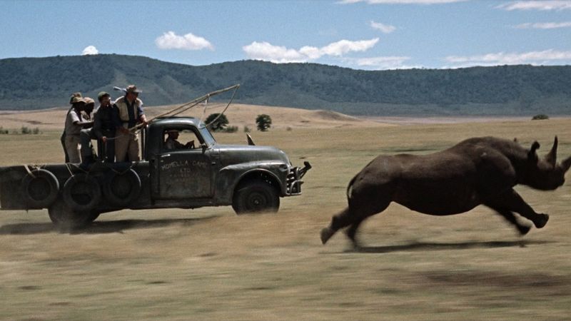 Hatari! Backdrop Image