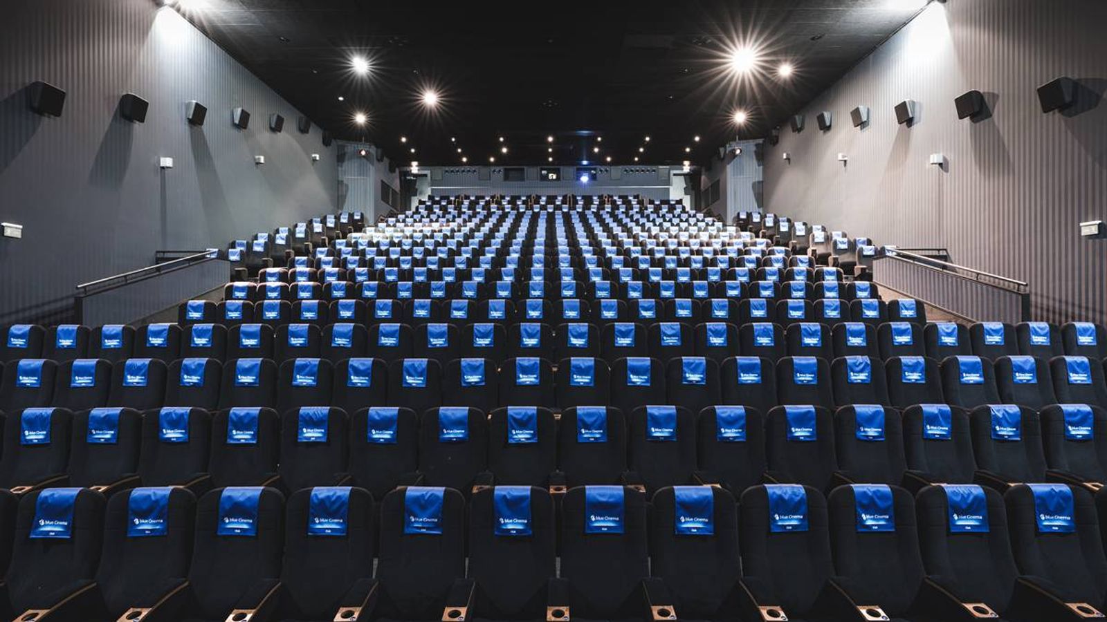 blue Cinema Abaton, photo 1 of 2