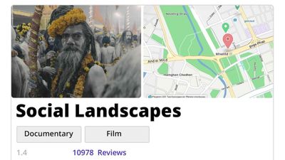 Social Landscapes Poster Image