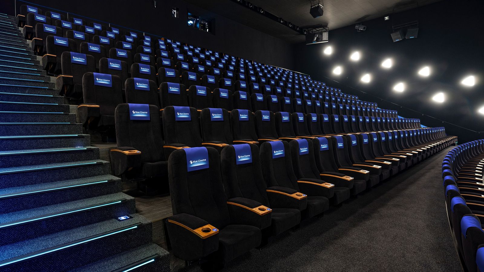 blue Cinema Abaton, photo 2 of 2