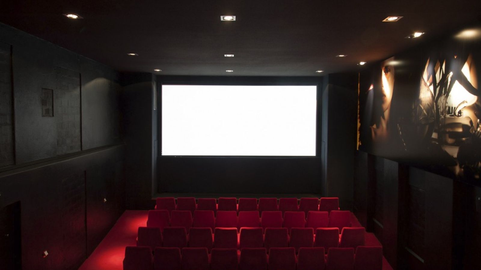 Arthouse Movie, photo 2 of 7